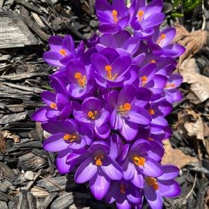 Meet your Posher, Linda